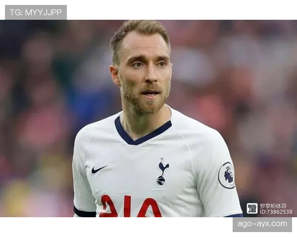 巴斯托尼防线：重塑国家安全战略布局的新支点