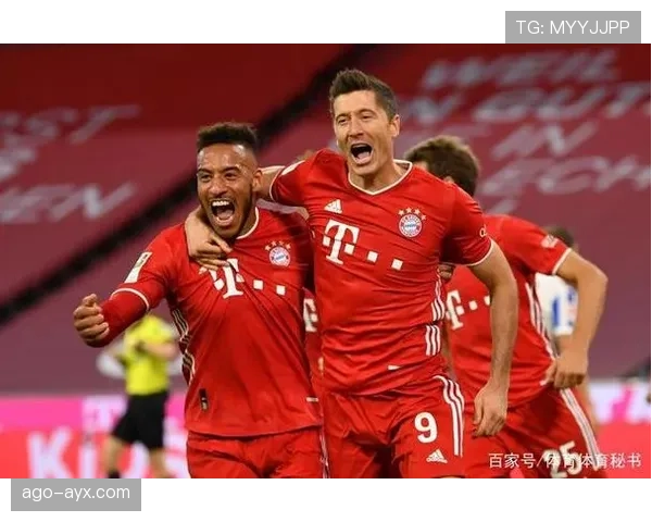 格纳布里进攻体系适配性解析 格纳布里进攻体系适配性解析